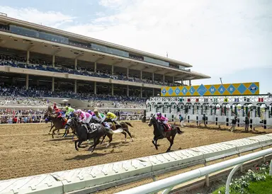 DRF's Horse Racing Playbook for Sunday, Aug. 30, 2026