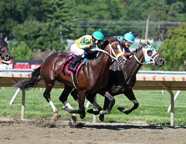 Sea Devil, trying two turns, noses Raku in Sapling Stakes