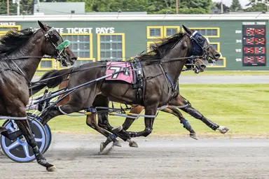 Batavia:  Odds On Monetary knocks off Liberty Style in New York Sire Stakes