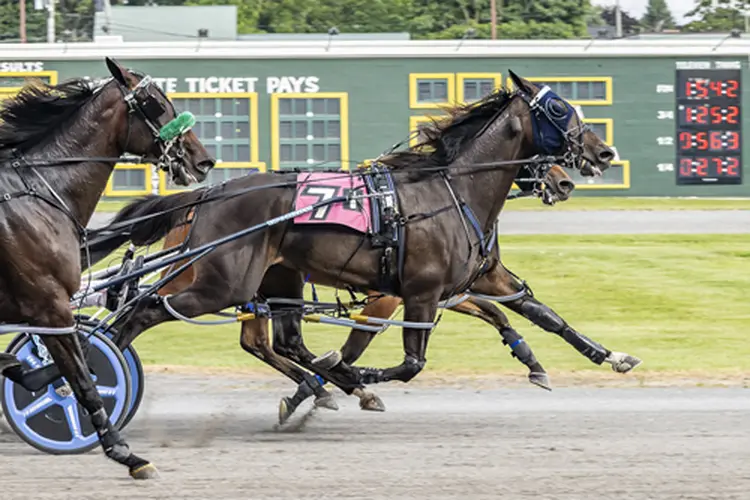 Odds On Monetary 7-22-26