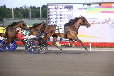 Woodbine Mohawk Park: Grant hopes for weekend stakes success 