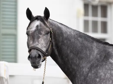 Joseph heading back West looking to replicate last year's Memorial Day success