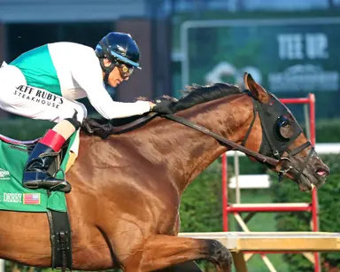 Zihnal rolls in West Virginia Derby as Velazquez notches Mountaineer stakes double