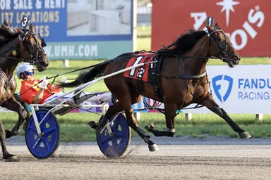 Meadowlands:  Del Miller Memorial divisions go to Nezuko Kamado S, Jailbird Jog