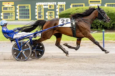 Batavia:  Lauren's Chapter scores in New York Sire Stakes