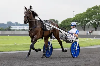 Meadowlands: Nezuko Kamado S named early Hambletonian Oaks favorite
