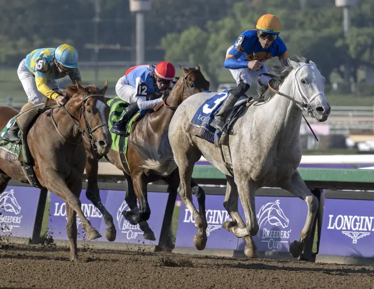 White Abarrio wins BC Classic at SA Nov 4 2023