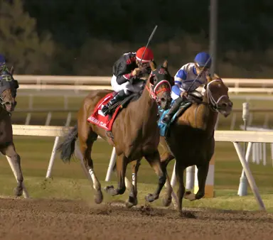 Letta's Legacy sentimental choice to win her fourth straight