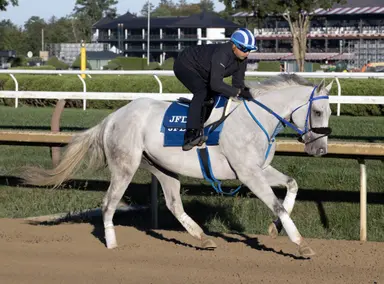 Hop Sing a cut above his competition – and condition