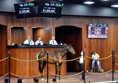 Justify colt sells for $1.2M at opening session of OBS March juvenile sale