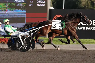 Woodbine Mohawk Park:  Jamieson keeps Ontario Sires Stakes hot streak going