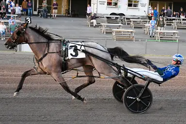 Vernon:  McCarthy, Bartlett clean up in New York Sire Stakes
