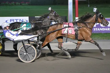 Meadowlands:  Trotters tussle in Tompkins-Geers