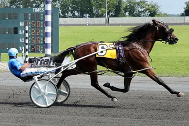 Harness: Four-year-old party could be on the menu for Mardi Gras Man