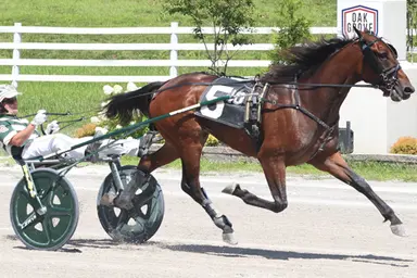 Oak Grove:  Carbon Fiber converts pocket trip into track record in his Kentucky Sire Stakes final