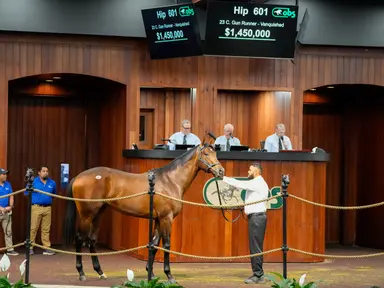 Six seven-figure horses light up OBS April's second session