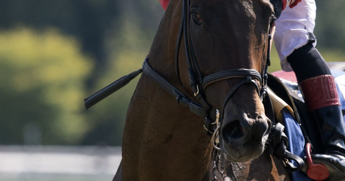 Market Timing finding his niche going longer; pick six carryover of $46,127