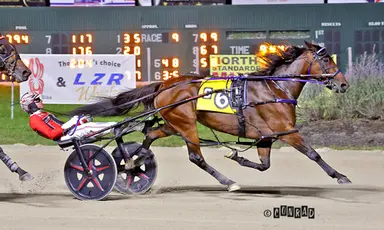 Breeders Crown:  Twin B Joe Fresh finishes first in Open Mares Pace elimination