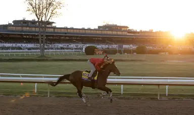 Breeders Cup Clocker: Godolphin turf runners get blowout on main track