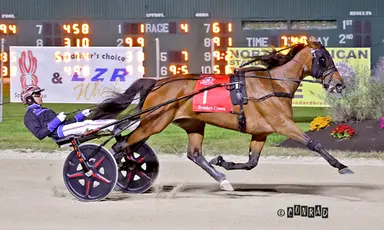 Breeders Crown:  Tactical Moni marches to victory in Open Mares Trot final
