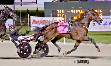 Breeders Crown:  On To Norway toughs out record-breaking triumph in Open Trot final