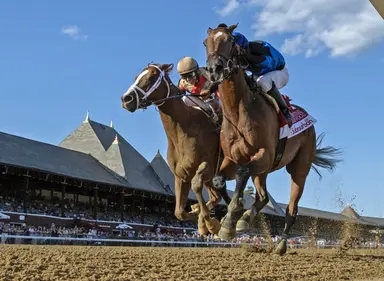 Antiquarian, Phileas Fogg get Suburban rematch