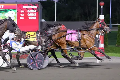 Woodbine Mohawk Park:  Borderline Mobby breaks through, Beau Jangles tires to fifth