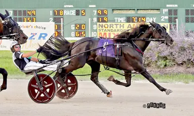 Scioto:  Ohio Sires Stakes training triple for Vernon Beachy