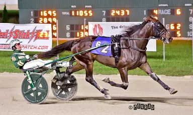 Breeders Crown:  Lifetime Dreamer, Wrong Sounds Right dominate in 2YO Colt Trot elims