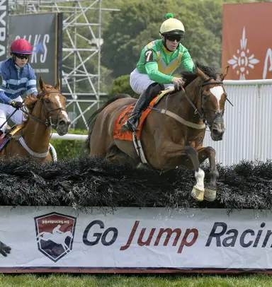 McTigue gets another chance in Leo O'Brien