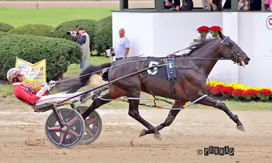 Delaware County Fair:  Night Surfer romps in Ohio Breeders Championship