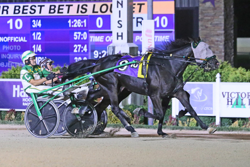 Harrah's Hoosier Park: Fine Wine, Redice stay sharp in Indiana Sire Stakes