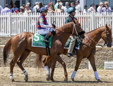 Dutrow finds perfect spot for Igniter in Ellis Park Derby