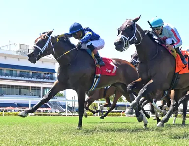 Powder Break features first five finishers from Monroe Stakes