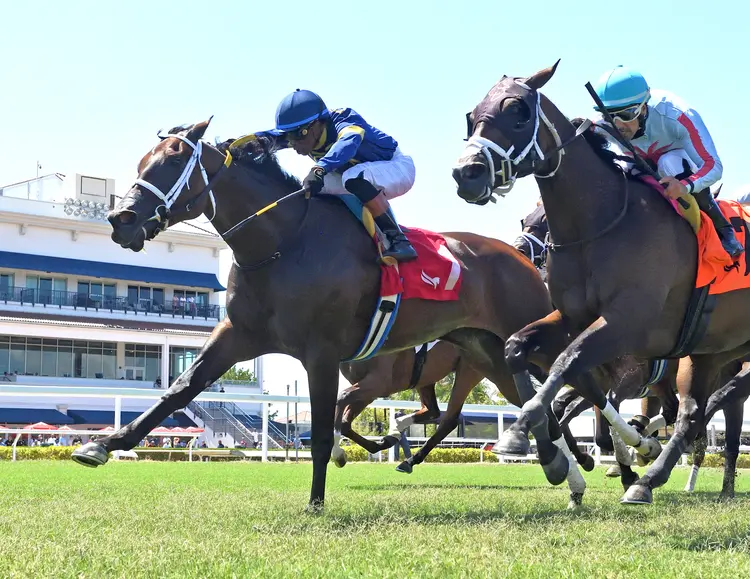 Turino wins Monroe at GP May 16 2026