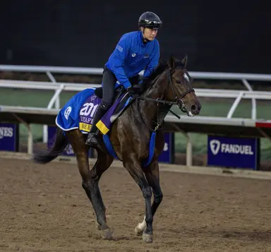 Japan: Awesome Result looks to repeat in Breeders’ Gold Cup