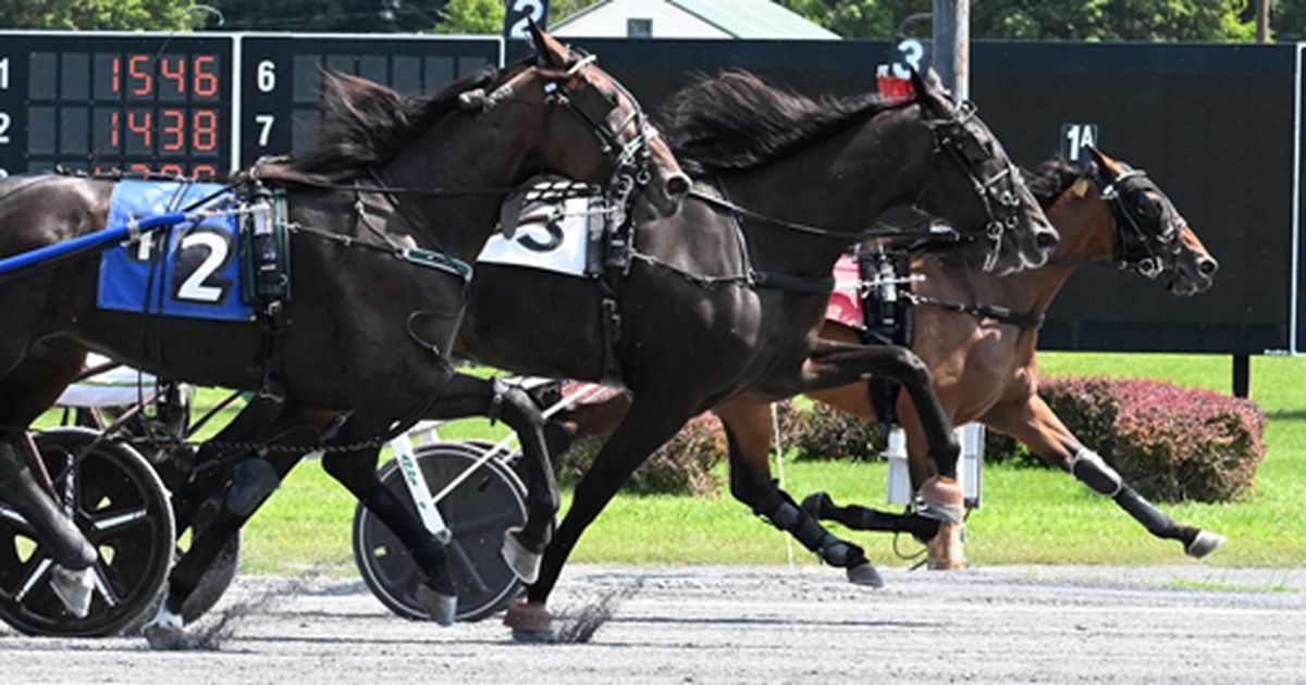Saratoga Harness:  Svanstedt cleans up in NYSS with Seven Grand, Read The Room