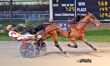 Dayton:  Buckeye Stallion Series finals take place on Grand Circuit undercard