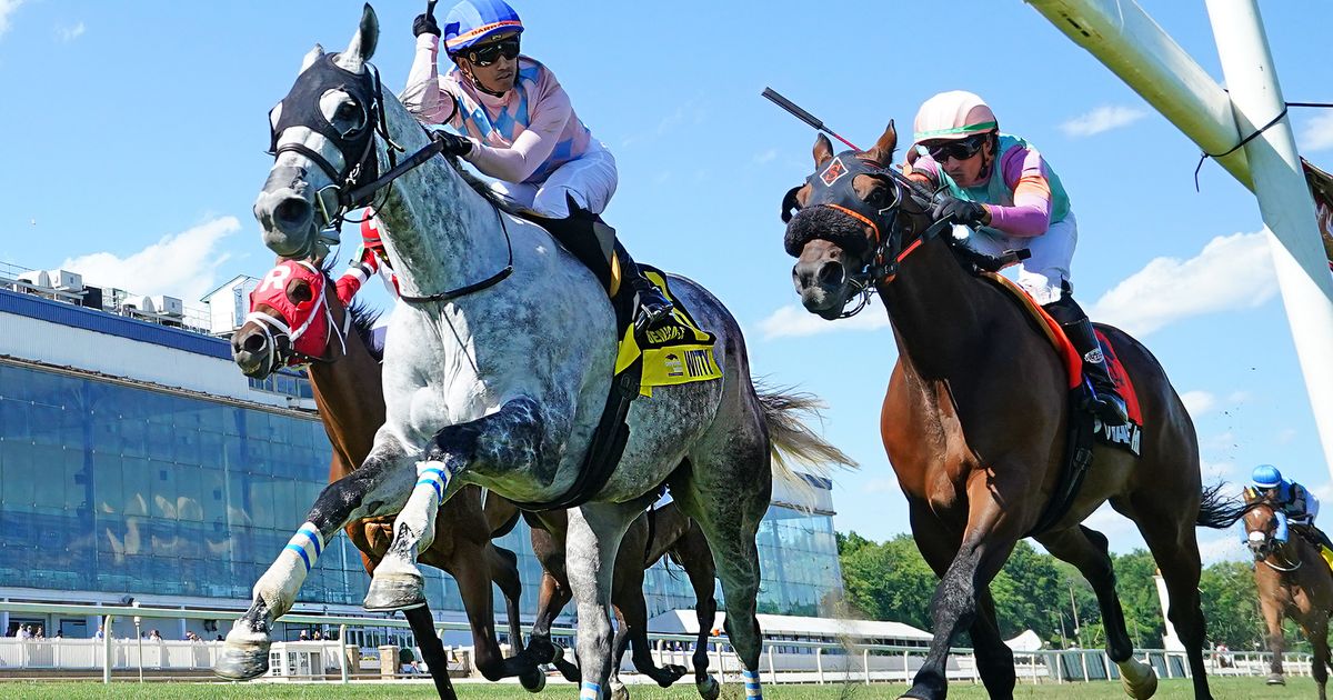 Witty looks to bounce back in Laurel Dash
