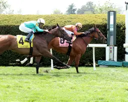 Vronti ships back West for CTT and TOC Stakes