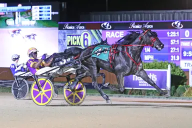 Harrah's Hoosier Park:  Swan Good Bi defends his home turf in Peter Haughton Memorial