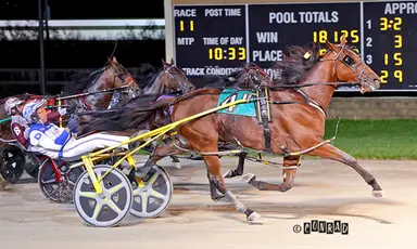 Dayton:  Harrisburg Heist, Twin B Joe Fresh capture Pacing Derby, Distaff Derby
