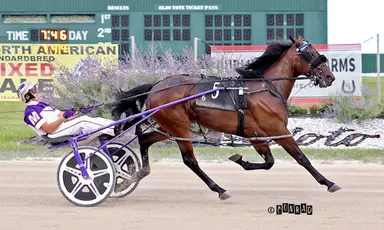 Scioto:  Tempting Flames burns rubber in Ohio Sires Stakes triumph