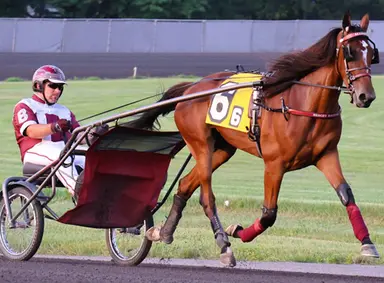 Scioto: Beachy rookies could shine in Next Generation stakes