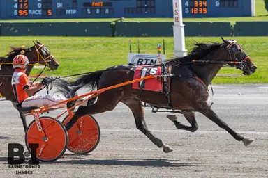 Buffalo:  Uncle Rob matches track record in New York Sire Stakes victory
