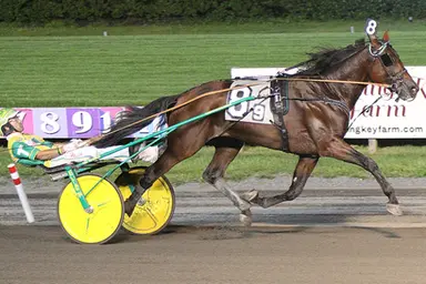 Meadowlands:  Apex, Big Ranger convert in Hambletonian eliminations