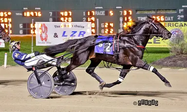 Breeders Crown:  Emoticon Legacy delivers in Open Trot elimination