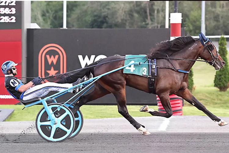 Detonater Hanover 7-31-26
