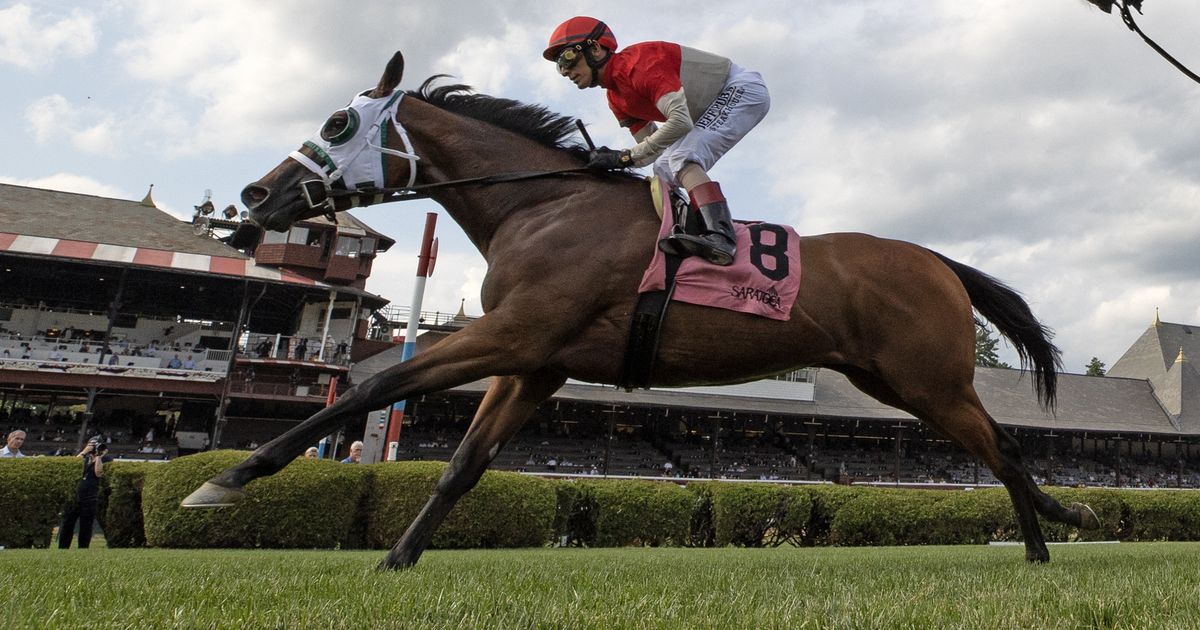 DRF's Horse Racing Playbook for Thursday, Aug. 13, 2026