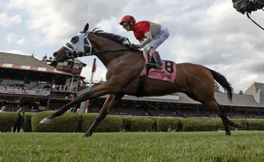 DRF's Horse Racing Playbook for Thursday, Aug. 13, 2026
